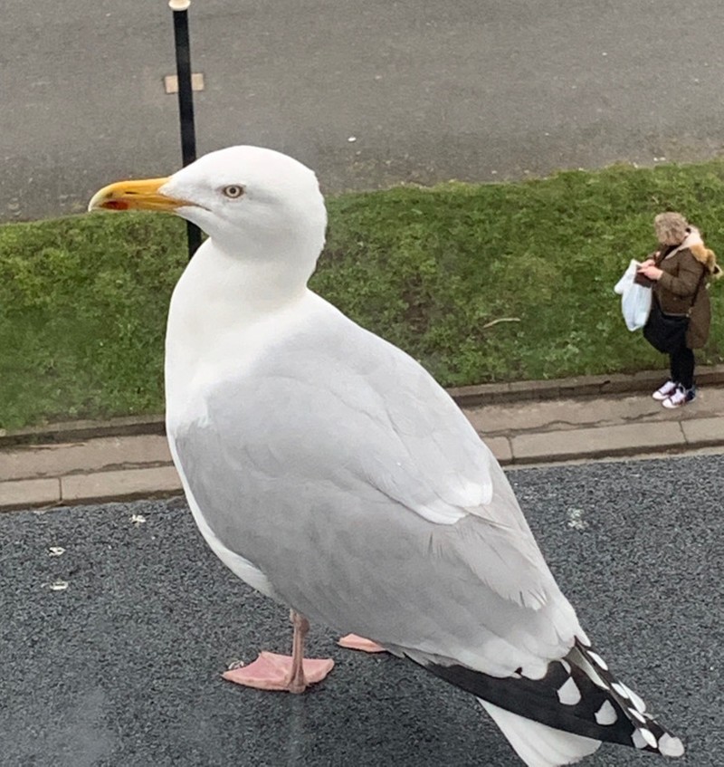 Deretan Foto Kebetulan yang Bikin Mata Gagal Fokus