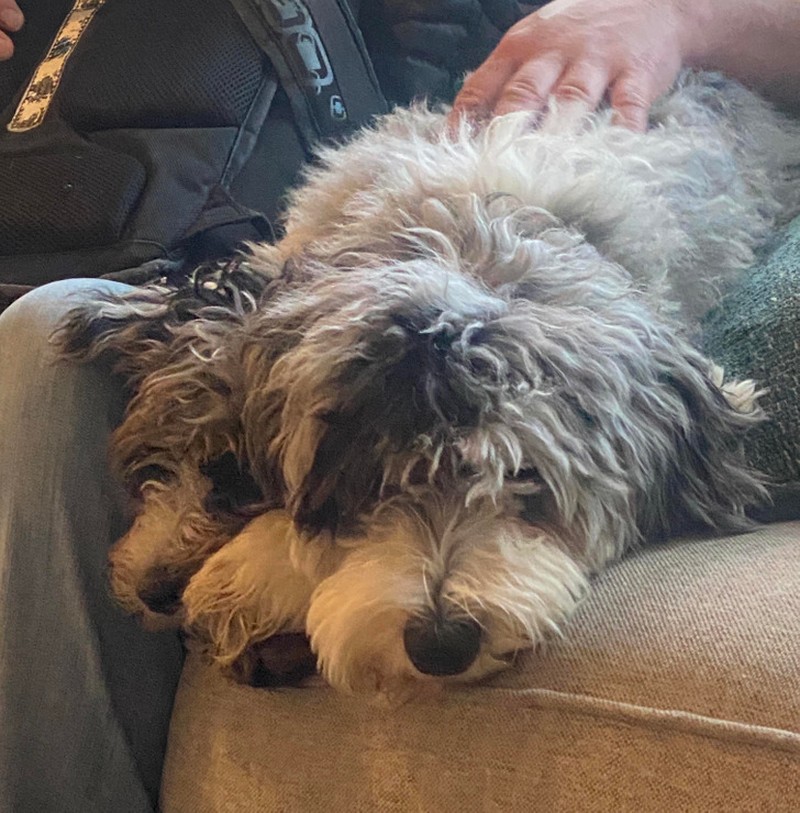 Deretan Foto Kebetulan yang Bikin Mata Gagal Fokus