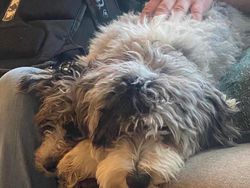 Deretan Foto Kebetulan yang Bikin Mata Gagal Fokus