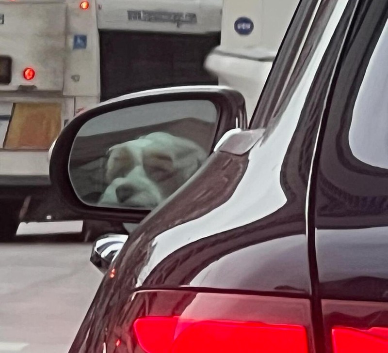 Deretan Foto Kebetulan yang Bikin Mata Gagal Fokus