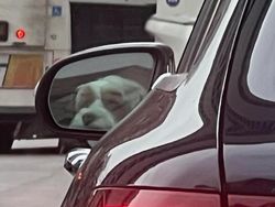 Deretan Foto Kebetulan yang Bikin Mata Gagal Fokus