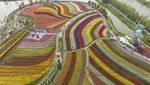 Foto Udara Keindahan Taman dengan Bunga Tulip Bermekaran