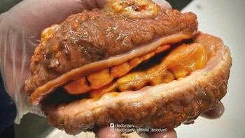 Apakah ini burger cheese bergigi di laut? Foto: rfedortsov_official_account