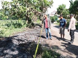 Polisi Kerahkan Anjing Pelacak Buru Penusuk Penjual Kopi di Ponorogo