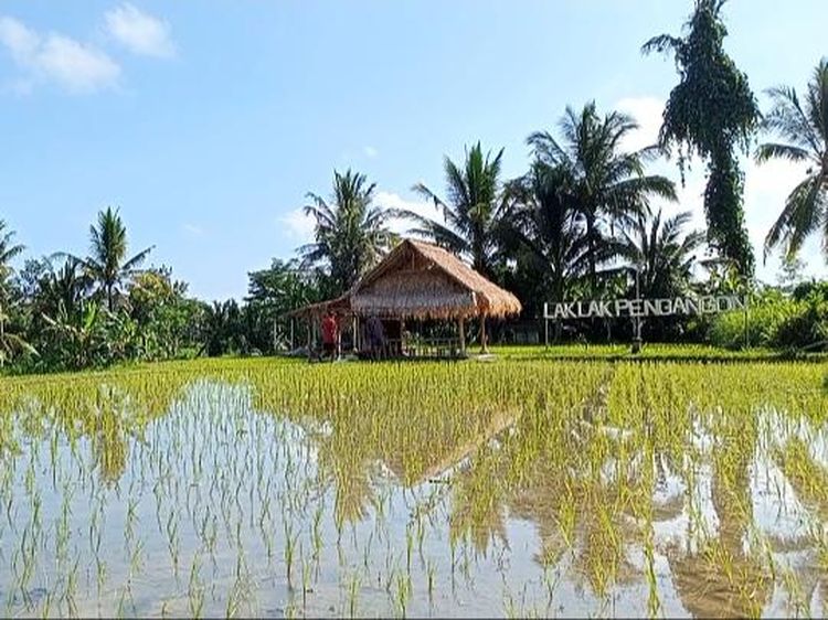 Potret Sudut Bali yang Menenangkan