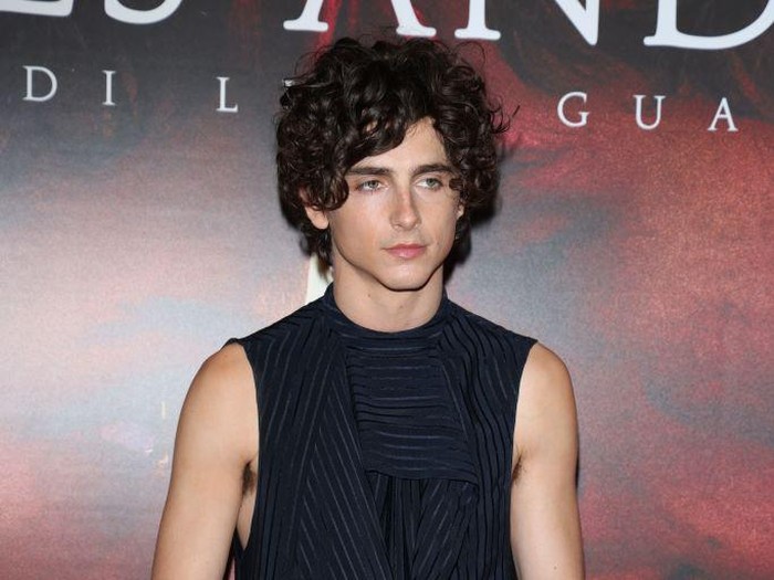 MILAN, ITALY - NOVEMBER 12: Timothée Chalamet attends the photocall for Bones And All on November 12, 2022 in Milan, Italy. (Photo by Stefania DAlessandro/Getty Images)