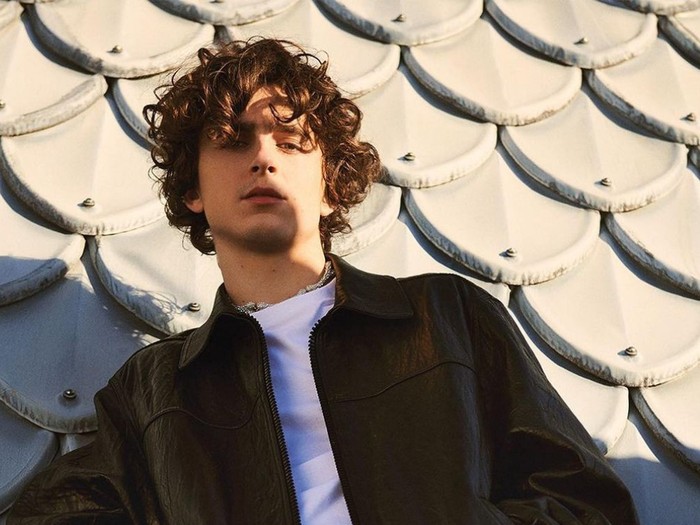 Timothee Chalamet.
