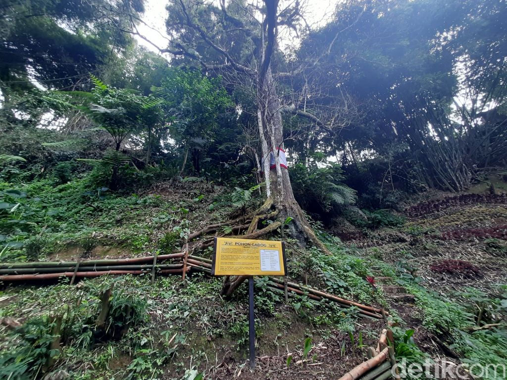 Bertemu Chryshnanda Dwilaksana di Sespim Polri