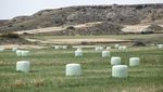 Bola-bola Jerami di Cyprus Ditutup Plastik saat Cuaca Ekstrem