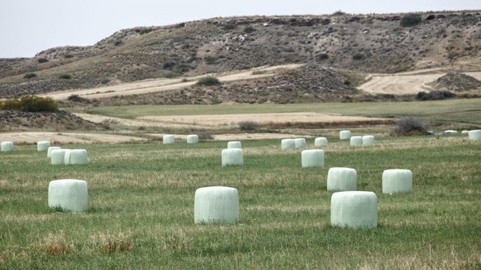 Cegah Cuaca Ekstrem, Bola-bola Jerami di Cyprus Ditutup Plastik Dalam melindungi dari kondisi dan cuaca ekstrem, bola-bola jerami yang ada di sebuah lapangan di distrik Nicosia, Cyprus. Begini penampakannya.