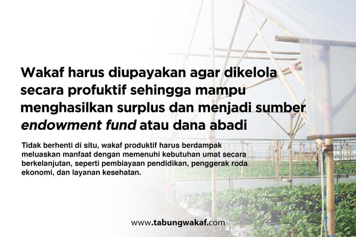 Dompet Dhuafa