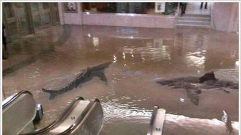 Ini seharusnya diambil di pusat perbelanjaan yang banjir, tapi diedit pakai Photoshop dan terlihat nyata!  Foto: Reddit