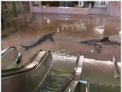 Zonk! Deretan Foto Viral Tapi Ternyata Palsu