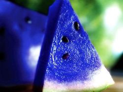 Zonk! Deretan Foto Viral Tapi Ternyata Palsu