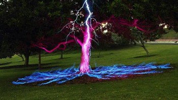 Ini disebut hasil foto eksposur saat petir yang menyambar pohon. Cantik, tapi palsu! Foto: Reddit