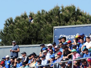 Dari Atas Pohon, Fans Nonton Pertandingan Getafe vs Barca