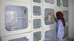 Jelang Lebaran, Hotel Kucing di Sejumlah Daerah Ramai Dipesan