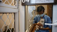 Petugas mengecek kucing yang dititipkan di PetVet, Alam Sutera, Kota Tangerang, Banten, Senin (17/4/2023). Menjelang Lebaran, layanan penitipan hewan peliharaan di tempat tersebut meningkat hingga 80 persen dengan harga mulai dari Rp180 ribu per hari. ANTARA FOTO/Fauzan  