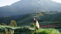 Melihat aktivitas penduduk sekitar bisa jadi objek fotografi.