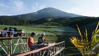 Ngopi dengan pemandangan mewah.