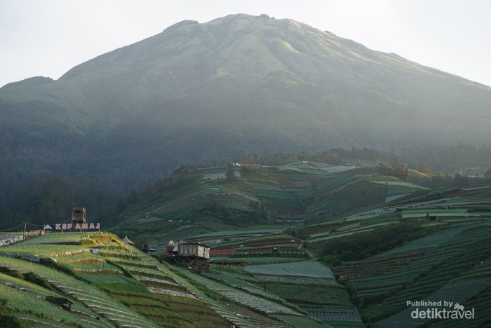 Nikmati Sunrise di Terasiring Negeri Sayur Sukomakmur Terasiring Negeri Sayur Sukomakmur dengan latar Gunung Sumbing