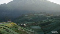 Terasering Negeri Sayur Sukomakmur dengan latar Gunung Sumbing.
