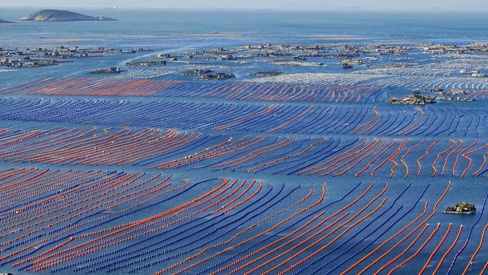 LIANJIANG, CHINA - JUNE 09: Aerial view of an abalone aquaculture farm on June 9, 2020 in Lianjiang County, Fujian Province of China. (Photo by Tan Ailong/VCG via Getty Images)