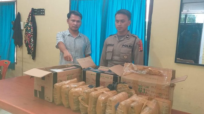 12 kilogram ganja yang diamankan dari kargo Bandara Silangit. (Foto: Dok. Polres Taput