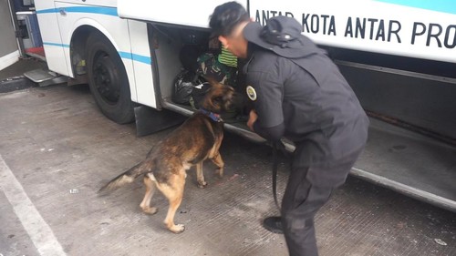 BNN memeriksa barang bawaan pemudik di Terminal Mengwi, Badung, Selasa (18/4/2023).