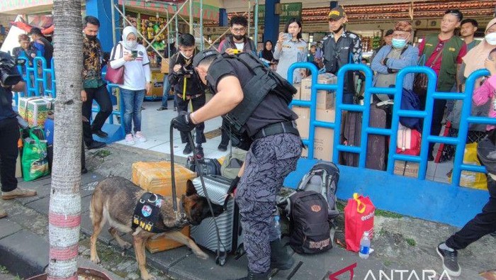 BNN RI membawa 2 ekor anjing pelacak ke Terminal Kampung Rambutan untuk mencegah pengiriman narkoba saat arus mudik Lebaran 1444 Hijriah. (ANTARA/Syaiful Hakim)