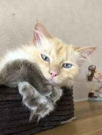fotoinet Kumpulan Foto yang Bikin Mata dan Otak Kamu Berpikir Keras