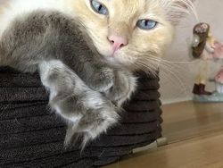 Kumpulan Foto yang Bikin Mata dan Otak Kamu Berpikir Keras