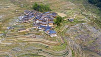 Terasering sawah di desa Jiachai memiliki pemandangan yang menakjubkan.