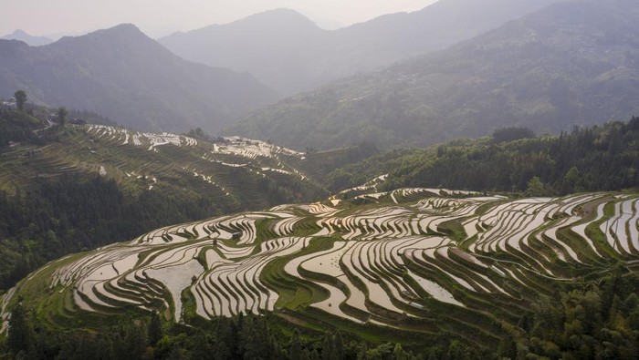 CONGJIANG, CHINA - APRIL 16, 2023 - Aerial photo taken on April 16, 2023 shows the view of rice terraces in Jiachai village, Jiapang township, Congjiang county, Southwest China's Guizhou province. (Photo credit should read CFOTO/Future Publishing via Getty Images)