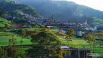 Sungguh, Nepal Van Java Secantik Itu!