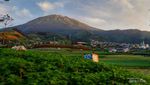 Sungguh, Nepal Van Java Secantik Itu!