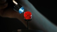Ruby ini diperkirakan akan terjual hingga $30 juta di Sothebys New York pada bulan Juni.  