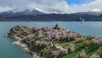 Saat musim semi, pulau ini akan semakin indah. Bunga bermekaran, air danau yang biru, berpadu dengan panorama pegunungan bersalju.