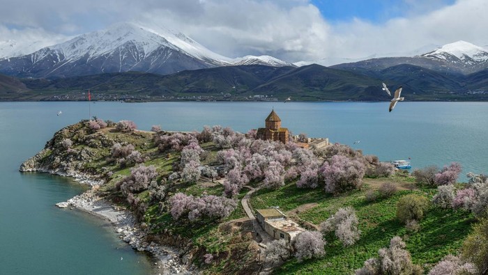 Pesona Pulau Kecil di Danau Van Turki, Ada Gereja Antik VAN, TURKIYE - APRIL 12: An aerial view of Akdamar Church on Akdamar Island during spring season in Lake Van, Turkiye on April 12, 2023. The islands, which has been declared an