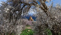 Keindahan pulau itu dilengkapi sebuah gereja antik Akdamar yang merupakan peninggalan masa kejayaan Armenia.