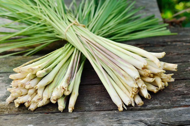 Tips memasak dengan serai