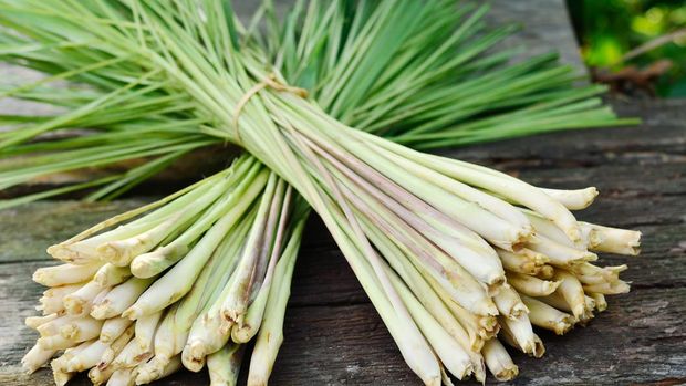 Tips memasak dengan serai