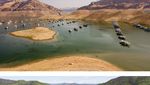 Waduk Terbesar di California yang Mengering Mulai Sehat Lagi