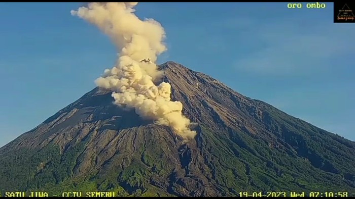gunung semeru mengeluarkan guguran lava sejauh 2 kilometer