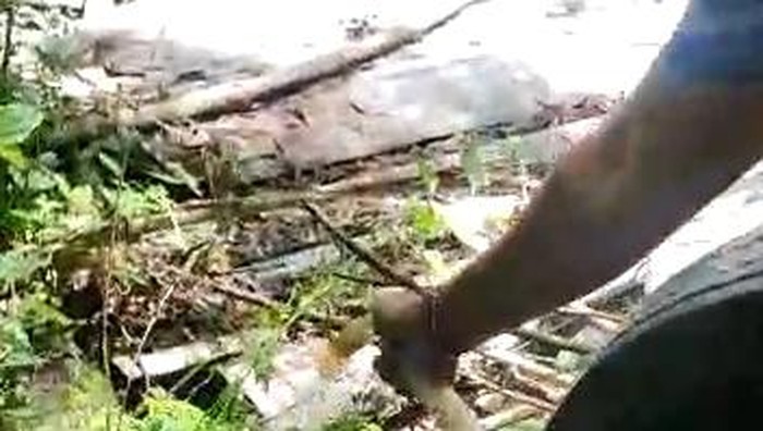 Selang yang digunakan menyalurkan air PDAM Badung secara ilegal di Pecatu.