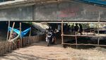 Uniknya Penyeberangan Kolong Jembatan Indramayu
