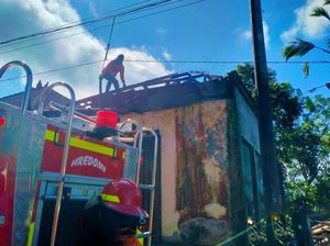 Bakar Kayu untuk Babi Guling, Gudang Ludes Dilalap Api