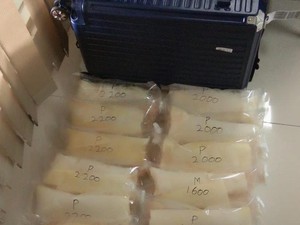 Jelang Lebaran, KKP Gagalkan Penyelundupan 212.536 Benih Lobster