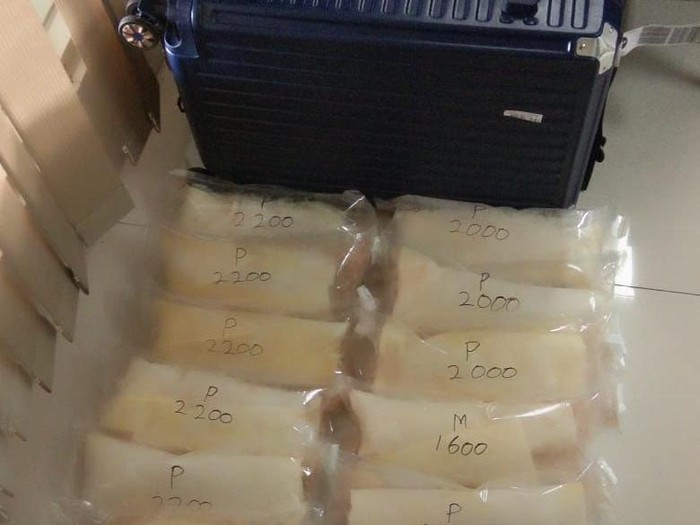 Selundupan Benih Lobster yang Digagalkan KKP