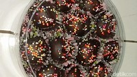 Bagi yang suka coklat kue ini sangat cocok untuk dinikmati. Apalagi dikue tersebut terdapat taburan warna (sprinkle) berwarna-warni sehingga membuat kue tersebut makin terkesan menarik. Kue ini juga cocok disajikan pada saat lebaran dan bersantai bersama keluarga.  (Fikri/detikSumut)